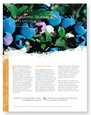 Traditional Aboriginal Diets and Health