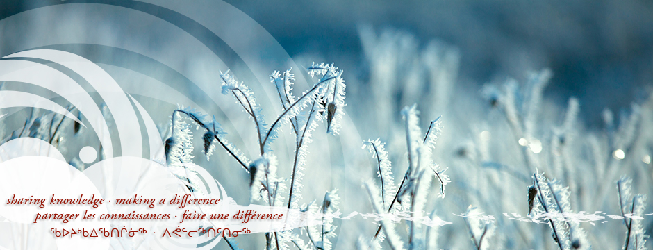 Research Institutes and Organizations 