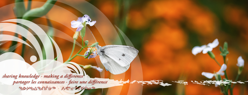 NCCIH Event calendar 