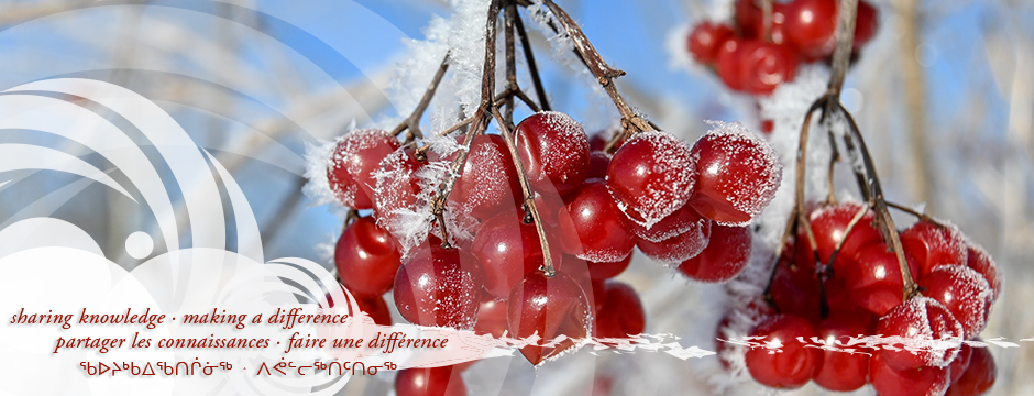 NCCIH seasonal newsletter