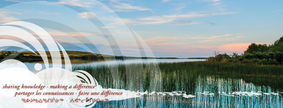 Chronic and infectious diseases