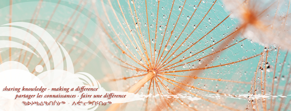 Social determinants of health 