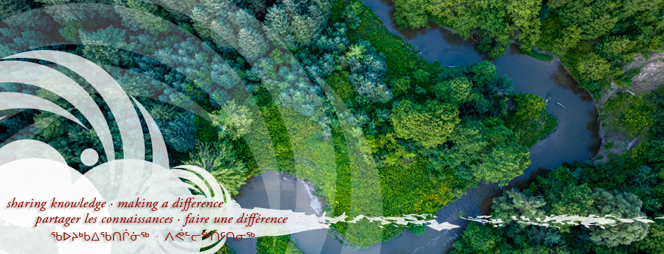 Indigenous knowledge(s) and public health