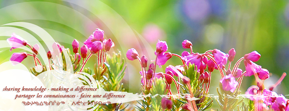 NCCIH seasonal newsletter