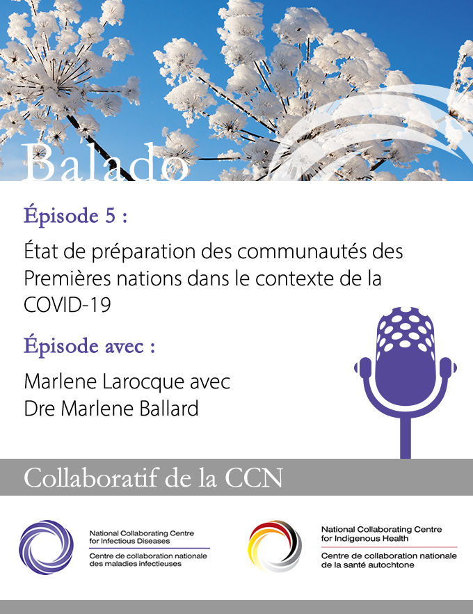 État de préparation des communautés des Premières nations dans le contexte de la COVID-19