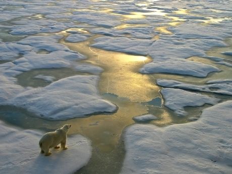 Le CCNSA contribute à un important rapport national sur le changement climatique