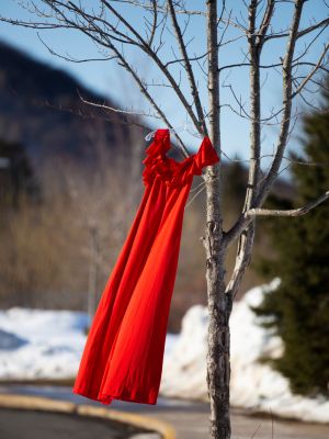 A red dress suspended in a tree to commemorate Red Dress Day