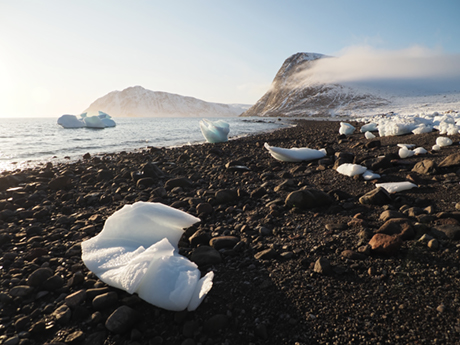 Beach in Grise Fiord, Ellesmere Island, Nunavut, arctic in Canada